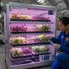 SFT 2026-27 - AI Plant Growth for Space #0