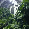  Lunar Ag and Food Growth Lab 7-20-26 #0